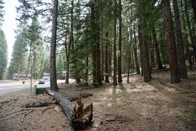 a view of outdoor space with trees