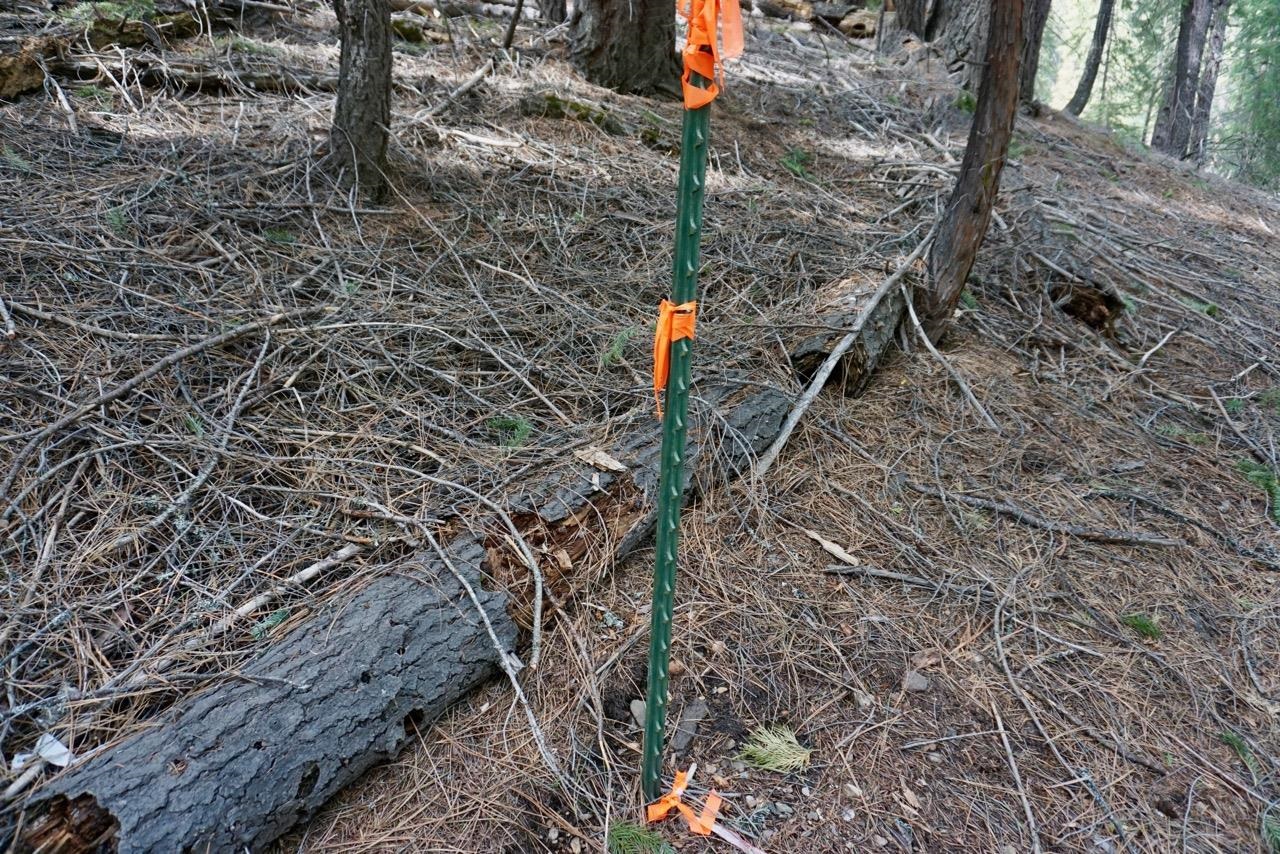 6 Pine Tree Court Blairsden, CA 96103 - Photo 10 of 22 a view of outdoor space