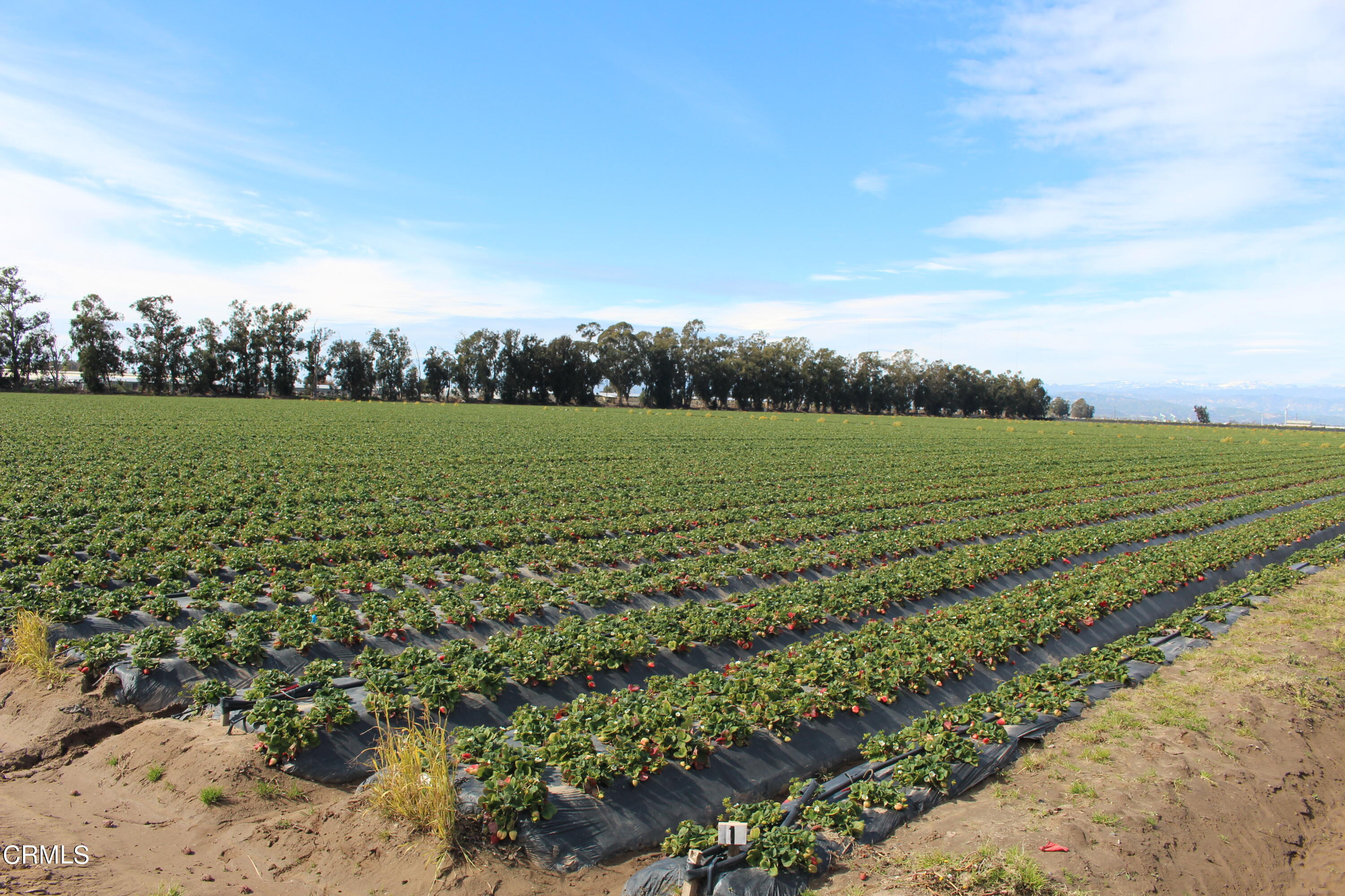 0 Etting Road Oxnard, CA 93033 - Photo 1 of 9 a view of a field with an ocean