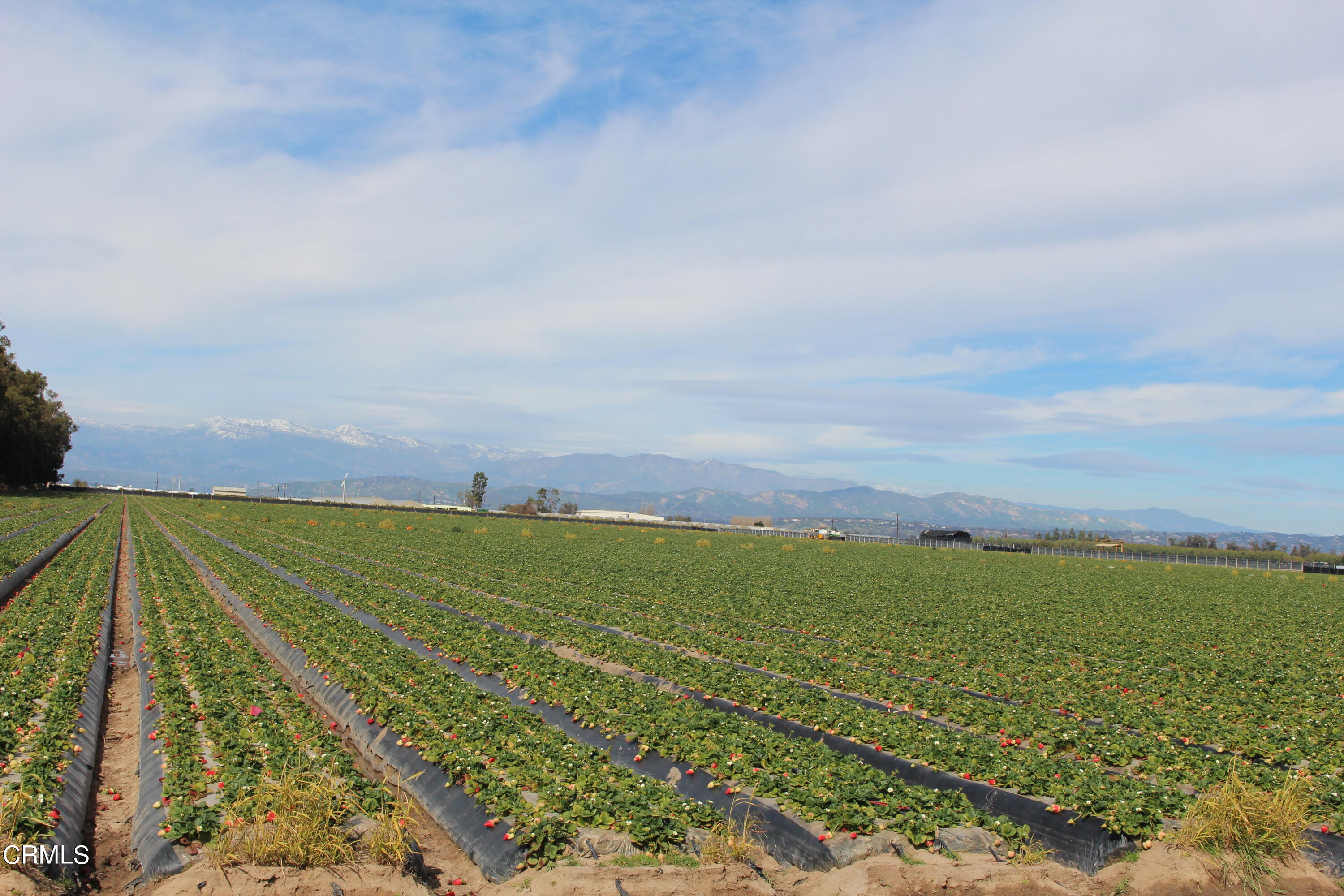 0 Etting Road Oxnard, CA 93033 - Photo 3 of 9 a view of an ocean