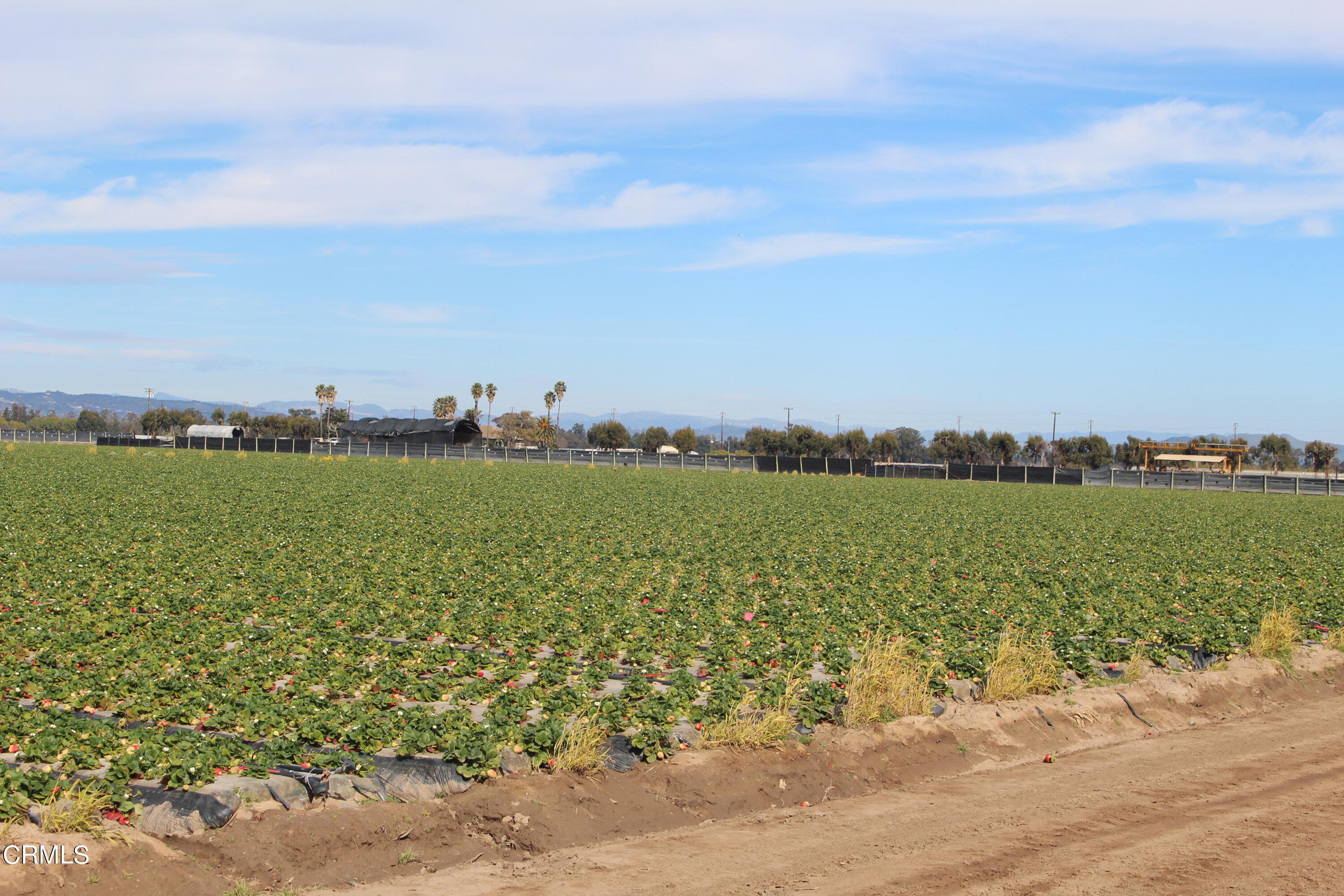 0 Etting Road Oxnard, CA 93033 - Photo 4 of 9 a view of a lake with a city