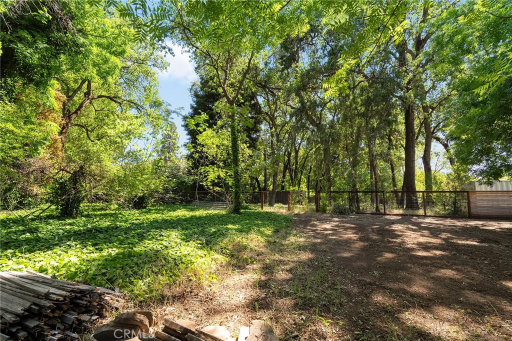 897 Filbert Avenue Chico, CA 95926 - Photo 60 of 66 a view of a tree with a yard