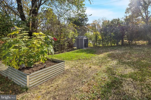 a view of a bench in a yard