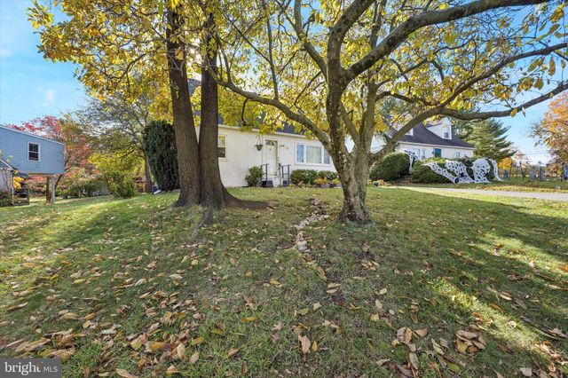 a view of a yard with plants and trees