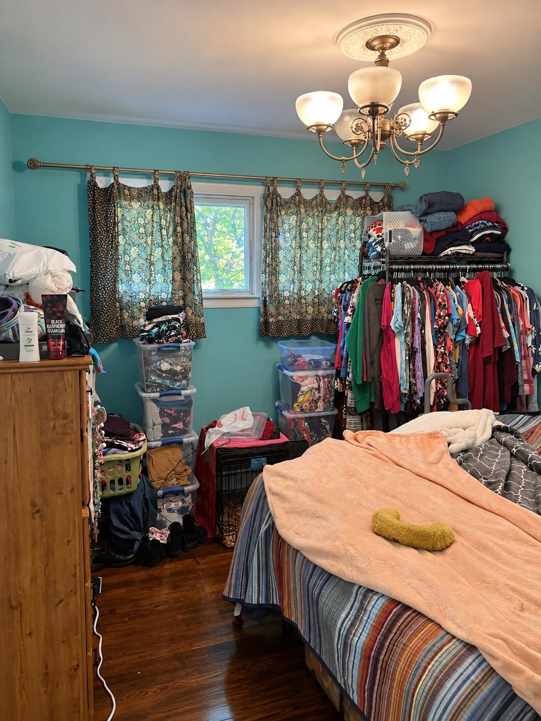12239 South Ruppert Common Perry, MI 48872 - Photo 8 of 13 Gallery Image 8