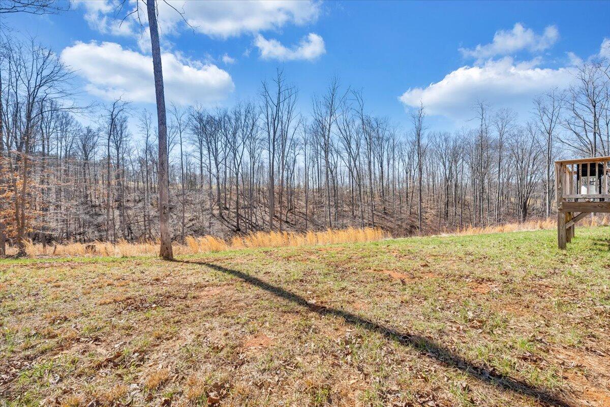 4063 Saunders Road Vinton, VA 24179 - Photo 28 of 37 a view of a yard with a tree
