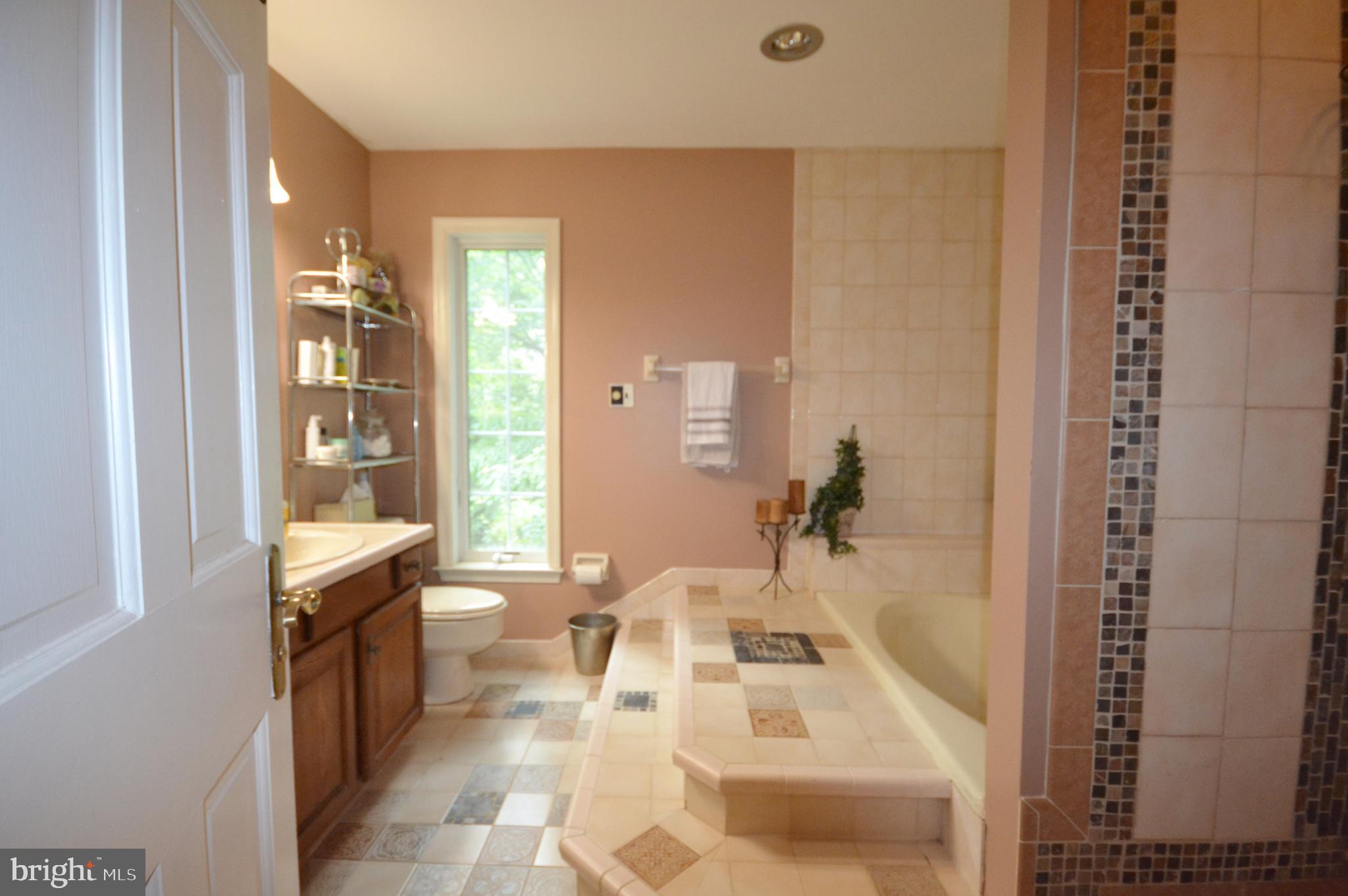 400 Upper Weadley Road Wayne, PA 19087 - Photo 12 of 15 Master Bath