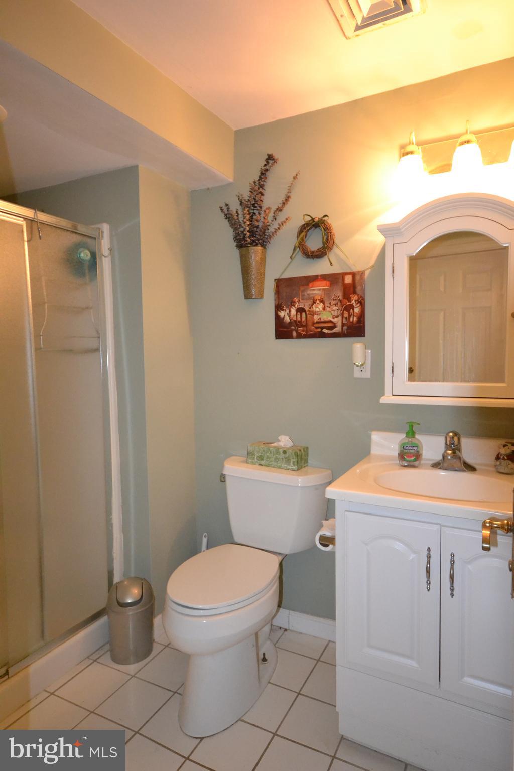 400 Upper Weadley Road Wayne, PA 19087 - Photo 9 of 15 Lower Level Full Bath