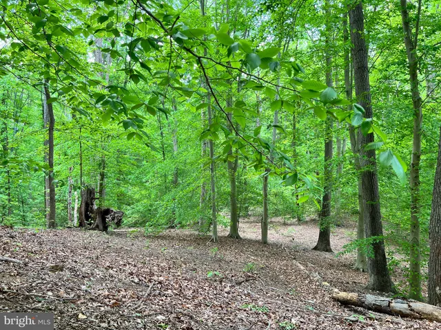 a street sign on a sidewalk next to a road