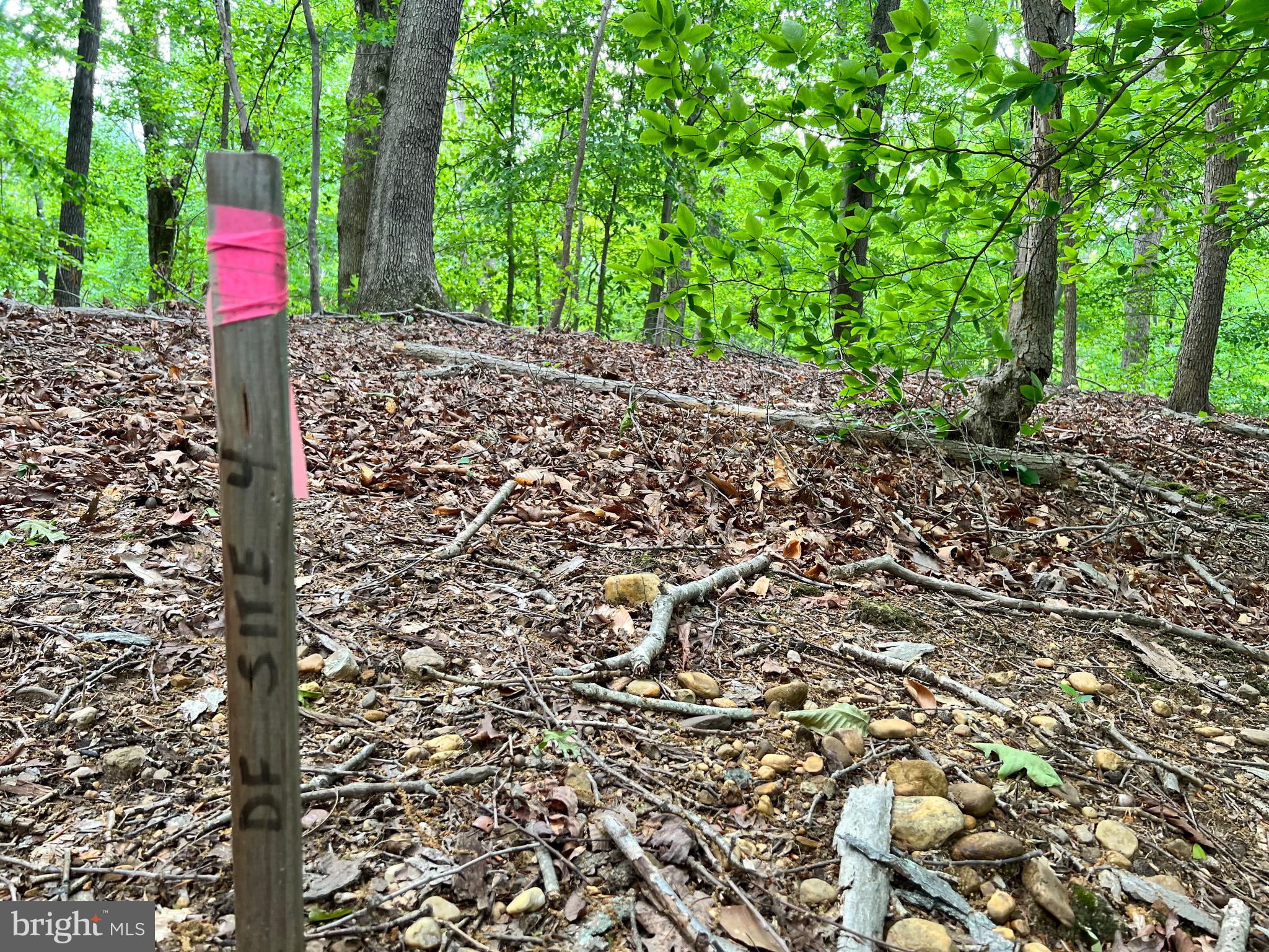 Old Colchester Road Lorton, VA 22079 - Photo 16 of 41