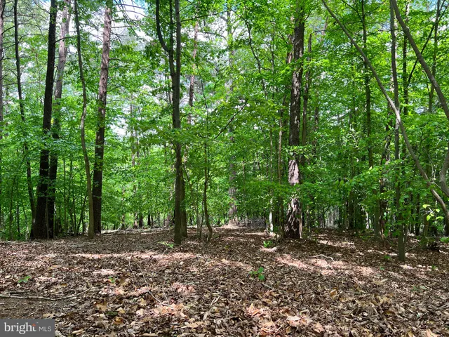 a view of a area with plants