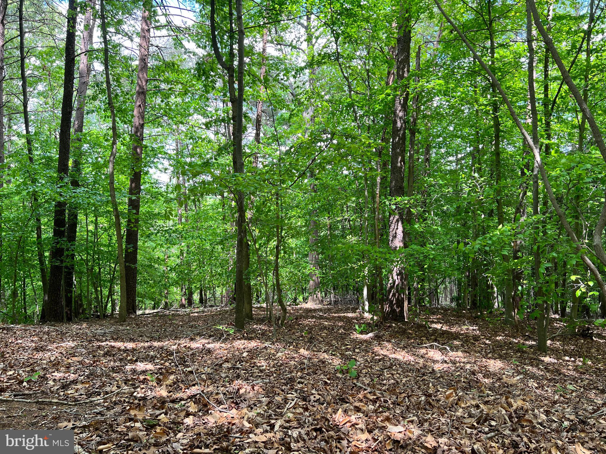 Old Colchester Road Lorton, VA 22079 - Photo 19 of 41