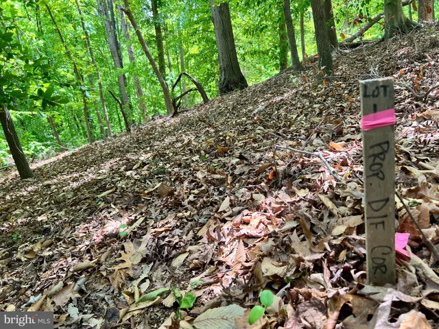 a view of outdoor space and trees