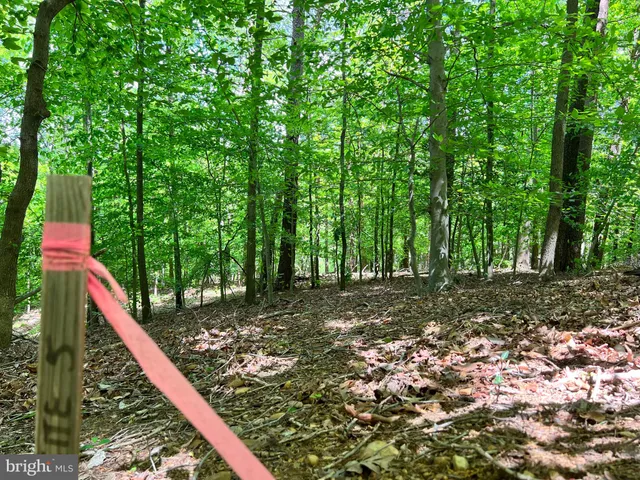 a big yard with lots of green space and trees