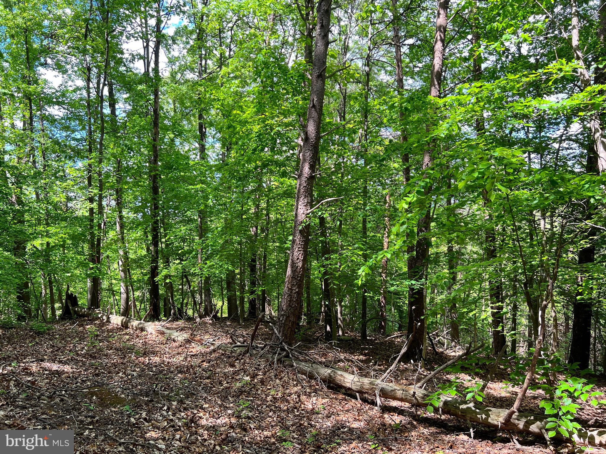 Old Colchester Road Lorton, VA 22079 - Photo 26 of 41