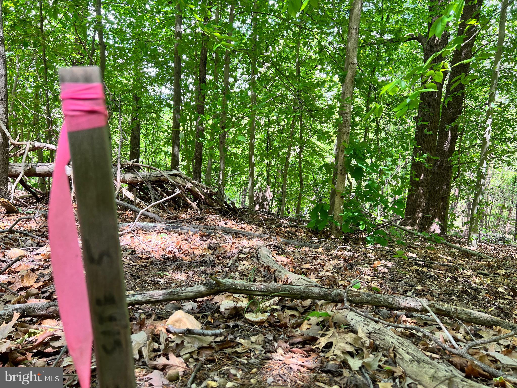 Old Colchester Road Lorton, VA 22079 - Photo 27 of 41