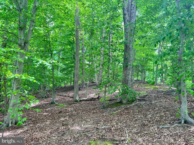 a view of outdoor space and green space