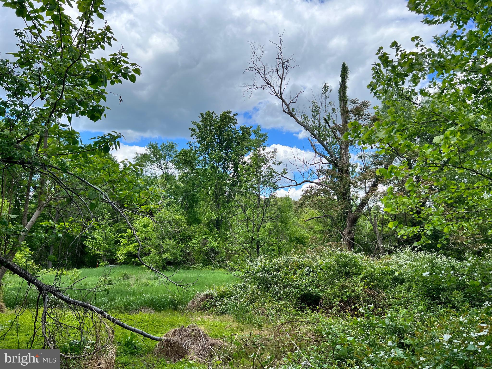 Old Colchester Road Lorton, VA 22079 - Photo 31 of 41