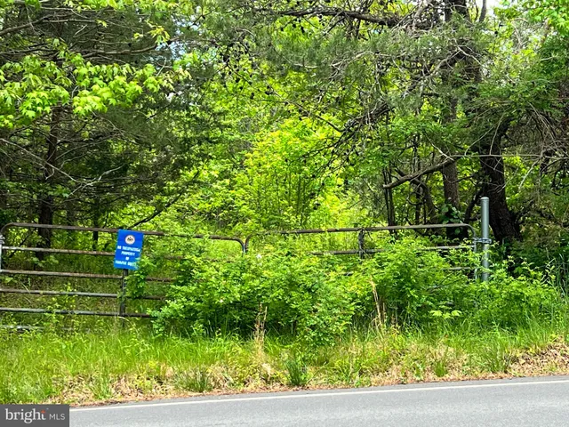 a front view of a house with a yard and fountain