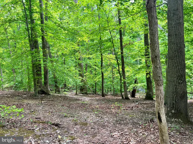 a view of outdoor space and trees