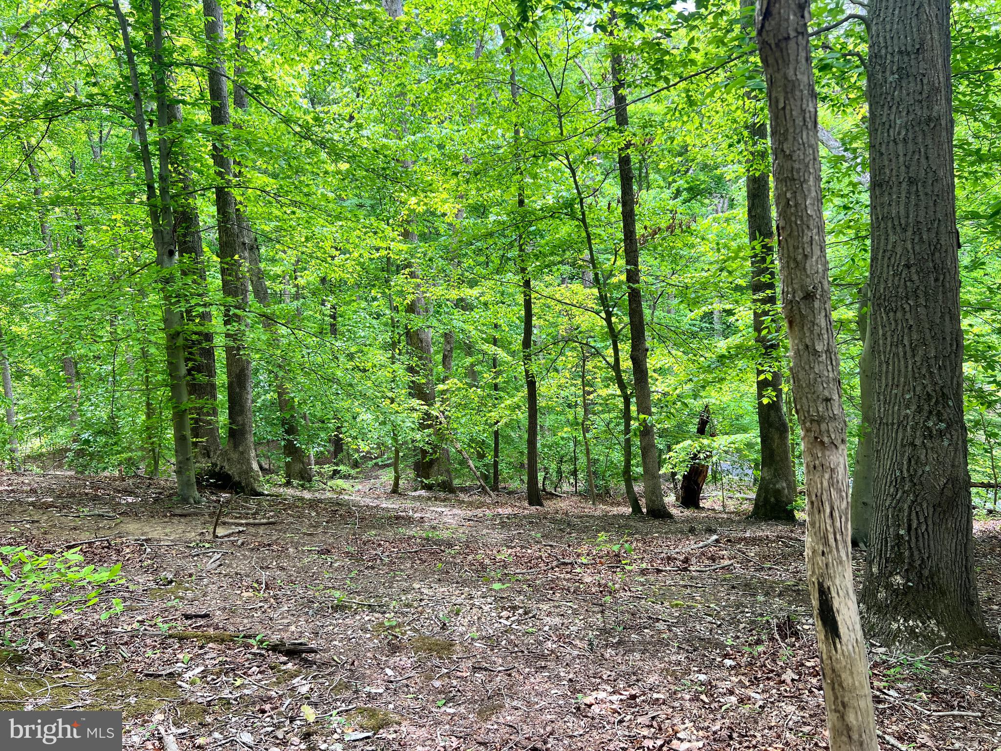 Old Colchester Road Lorton, VA 22079 - Photo 4 of 41