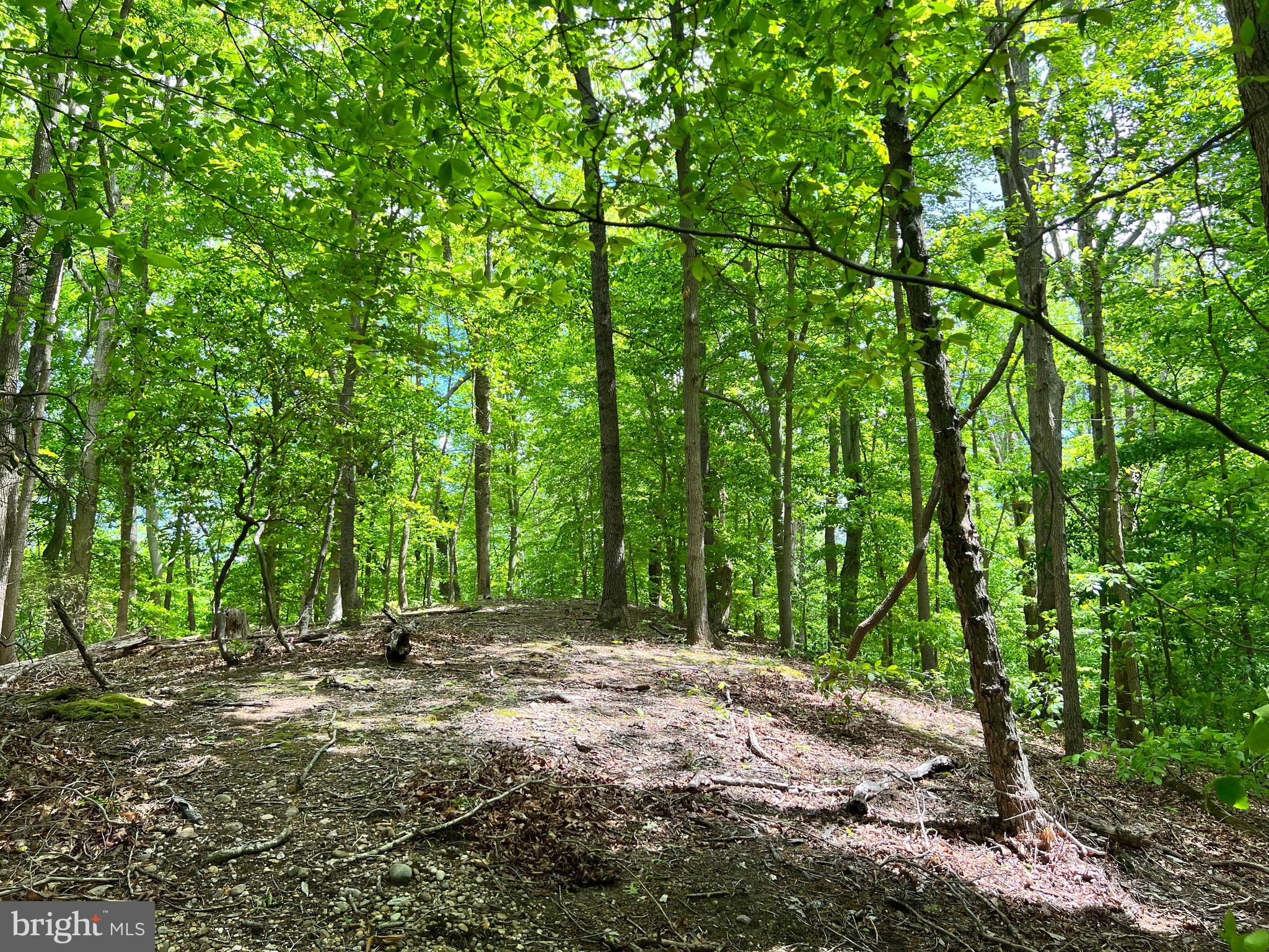 Old Colchester Road Lorton, VA 22079 - Photo 6 of 41