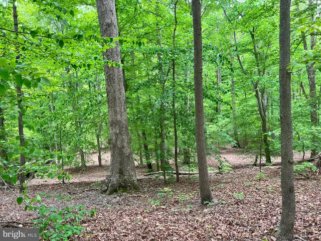 a view of outdoor space