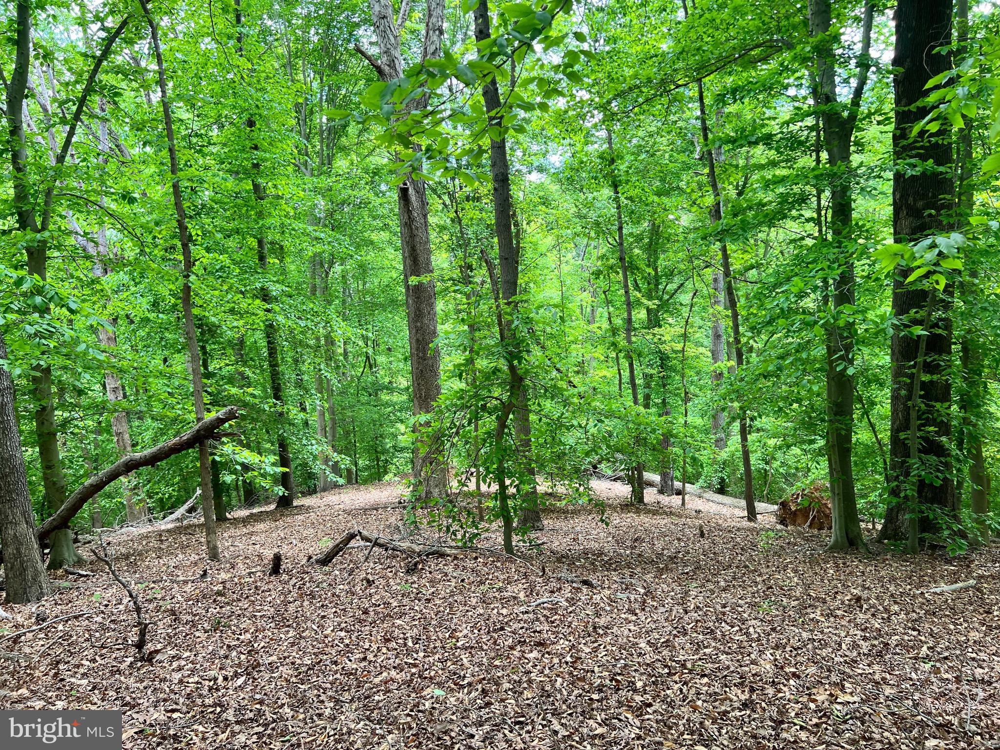 Old Colchester Road Lorton, VA 22079 - Photo 8 of 41