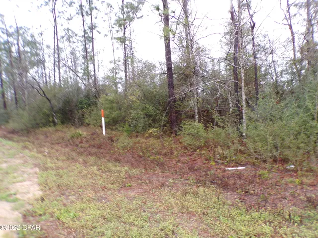 $8,700 | 0 East E Highway, Fountain, FL 32438