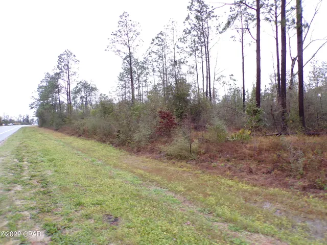 $8,700 | 0 East E Highway, Fountain, FL 32438