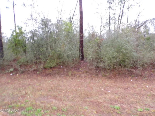 $8,700 | 0 East E Highway, Fountain, FL 32438