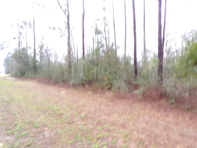 $8,700 | 0 East E Highway, Fountain, FL 32438