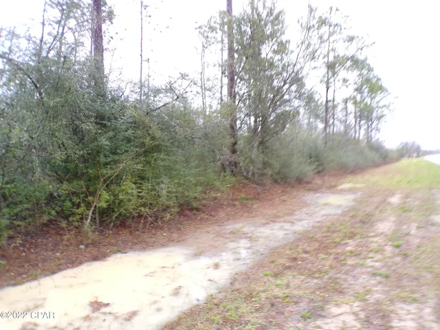 $8,700 | 0 East E Highway, Fountain, FL 32438