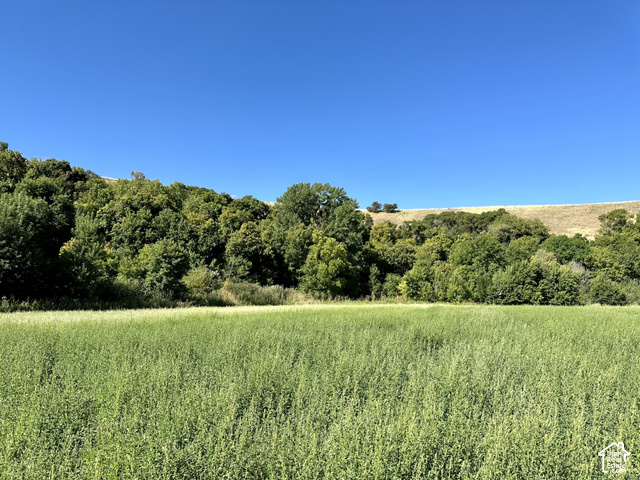 5025 South Hollow Road, Unit 44 Logan, UT 84321 - Photo 6 of 14 Expansive green field with natural tree line and distant hillside