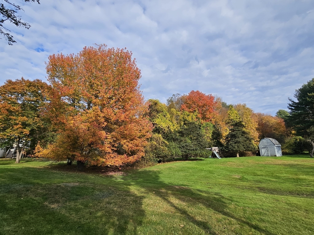 85 Dover Road Millis, MA 02054 - Photo 20 of 24 Gallery Image 20