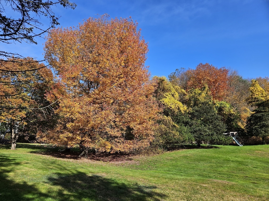 85 Dover Road Millis, MA 02054 - Photo 21 of 24 Gallery Image 21