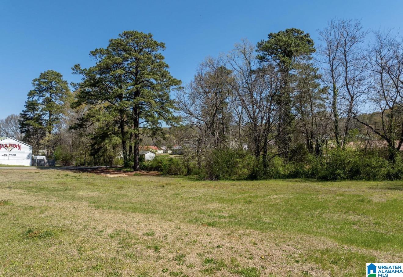 1400 Pelham Road South, Unit 2 Jacksonville, AL 36265 - Photo 4 of 6