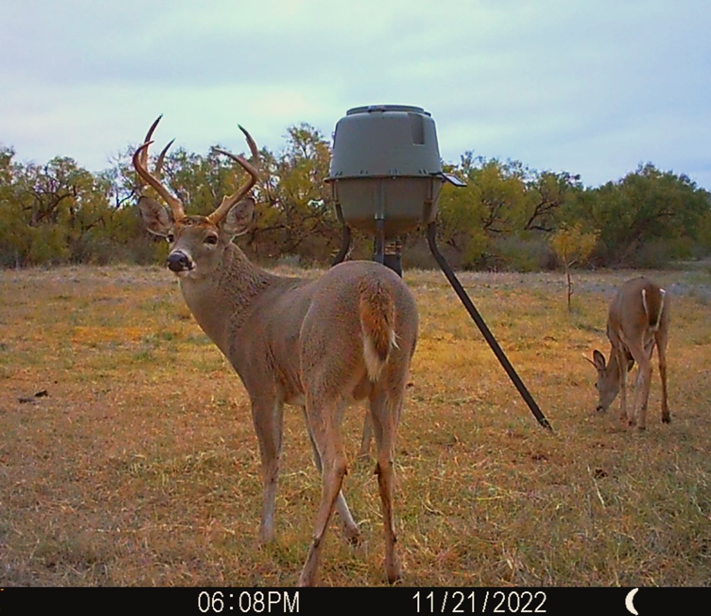 88291 Suaa Rd Well Lohn, TX 76852 - Photo 11 of 48 a view of a yard