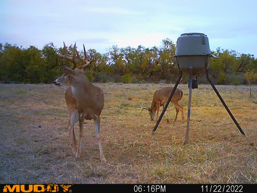 88291 Suaa Rd Well Lohn, TX 76852 - Photo 12 of 48 a view of a yard