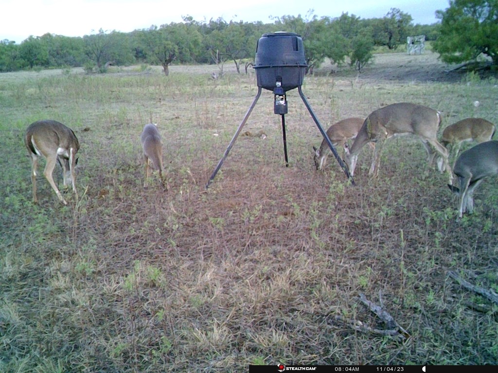 88291 Suaa Rd Well Lohn, TX 76852 - Photo 13 of 48 a backyard of a house with table and chairs