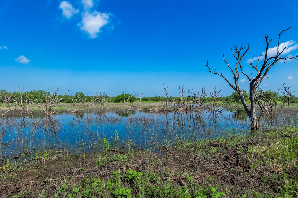 88291 Suaa Rd Well Lohn, TX 76852 - Photo 15 of 48 a view of a lake with a yard