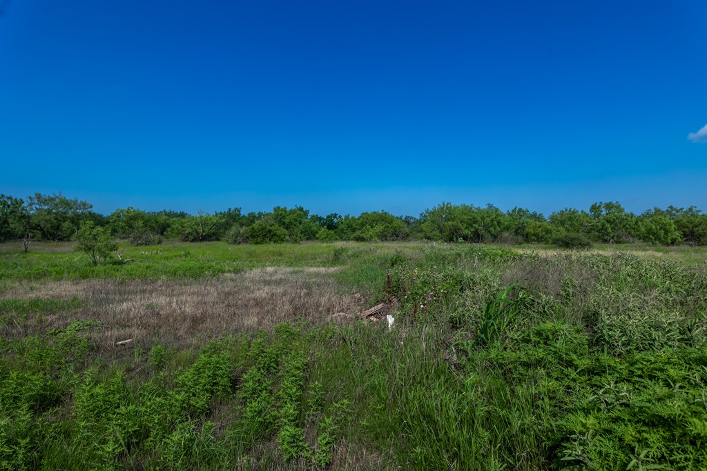 88291 Suaa Rd Well Lohn, TX 76852 - Photo 17 of 48 a view of a lush green forest with lots of trees
