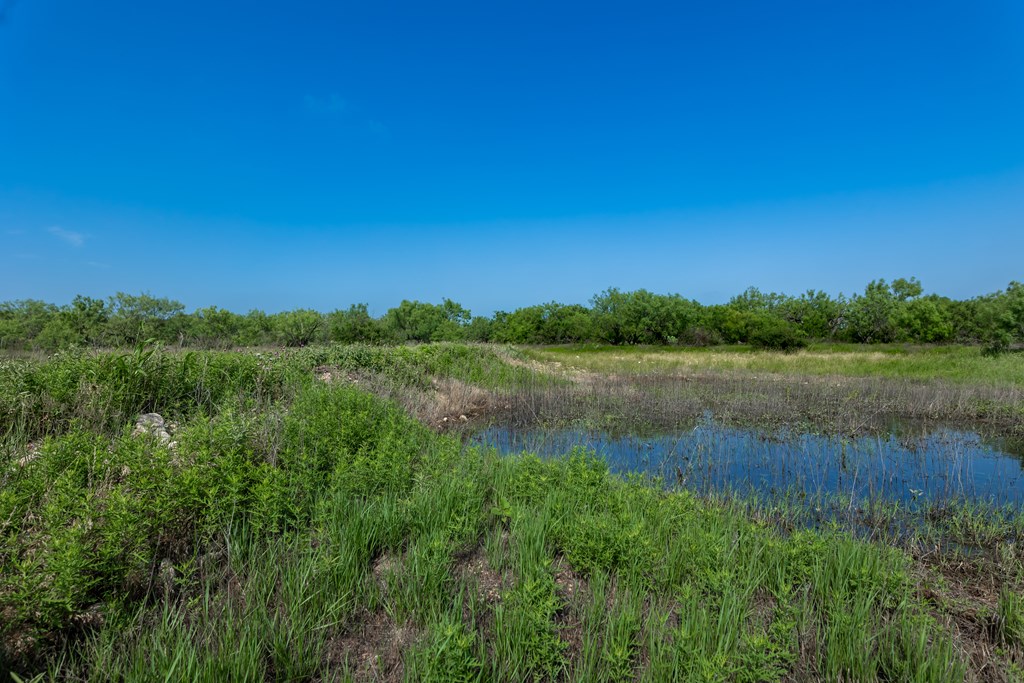 88291 Suaa Rd Well Lohn, TX 76852 - Photo 18 of 48 a view of a lake and green valley