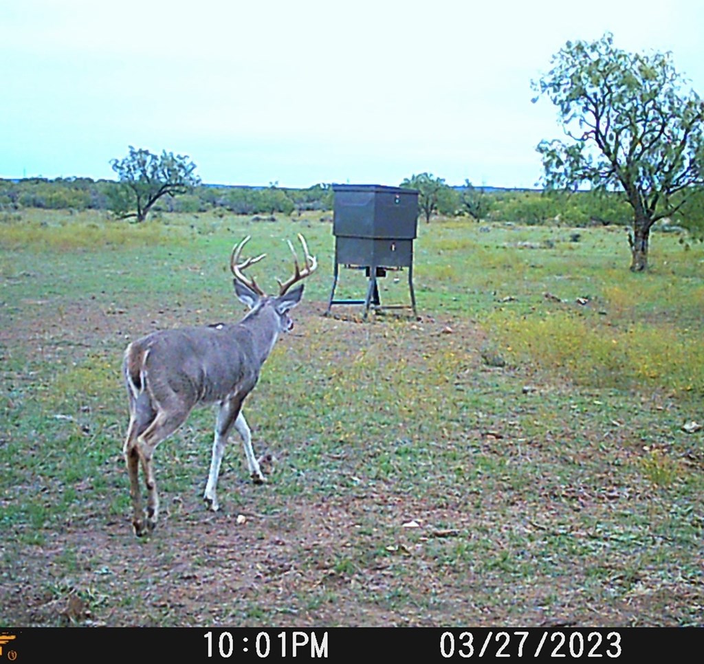 88291 Suaa Rd Well Lohn, TX 76852 - Photo 2 of 48 a view of a yard in a back yard