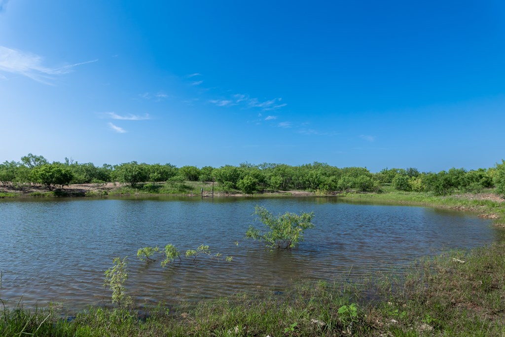 88291 Suaa Rd Well Lohn, TX 76852 - Photo 22 of 48 a view of lake with green space