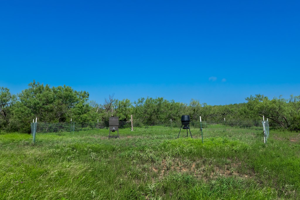 88291 Suaa Rd Well Lohn, TX 76852 - Photo 26 of 48 a view of a grassy area with an trees