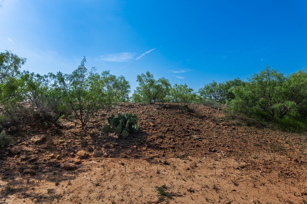88291 Suaa Rd Well Lohn, TX 76852 - Photo 29 of 48 a view of a yard with a tree