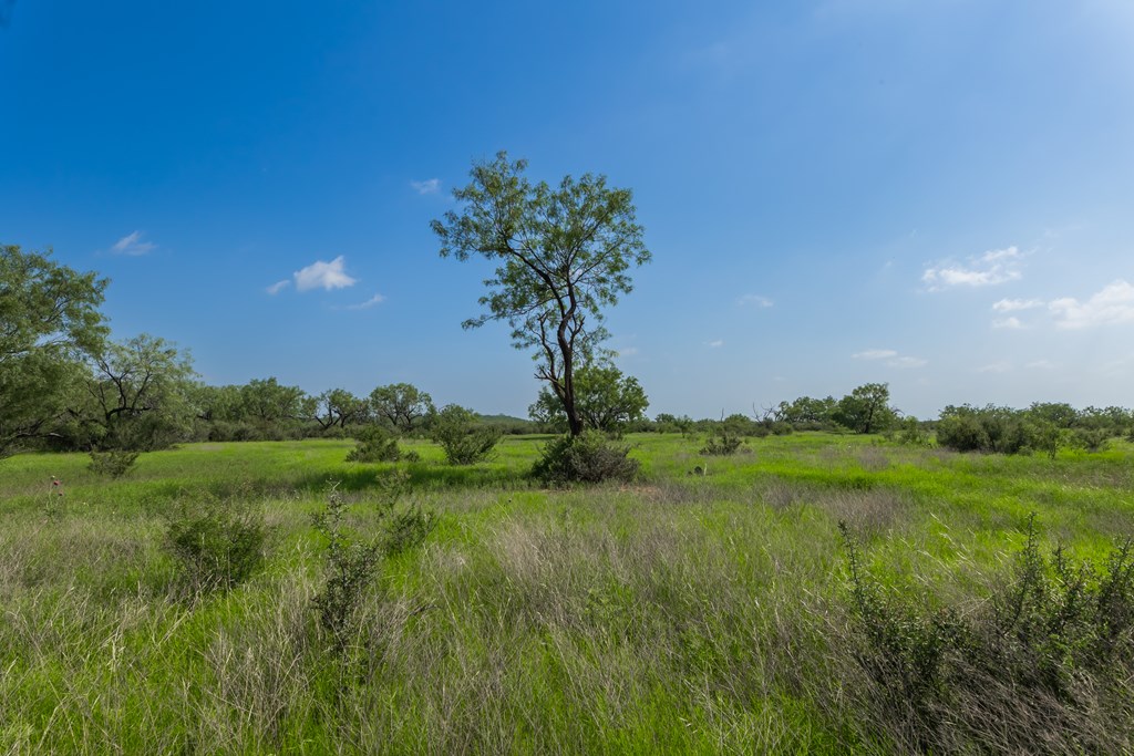 88291 Suaa Rd Well Lohn, TX 76852 - Photo 34 of 48 a view of a garden with a tree in a back yard