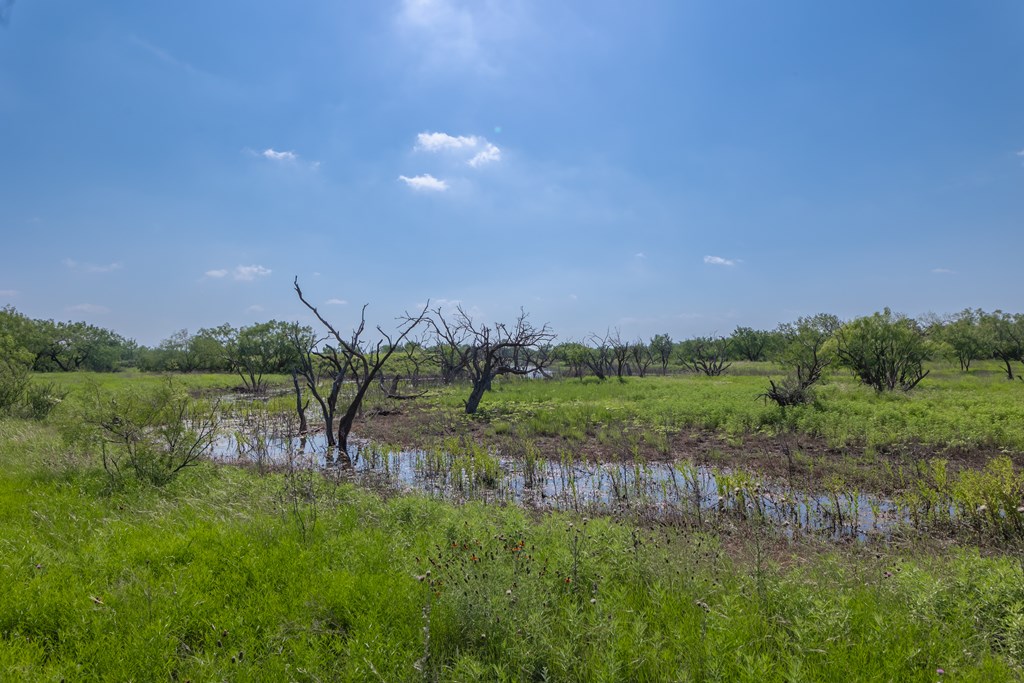 88291 Suaa Rd Well Lohn, TX 76852 - Photo 35 of 48 a view of a lake with a yard