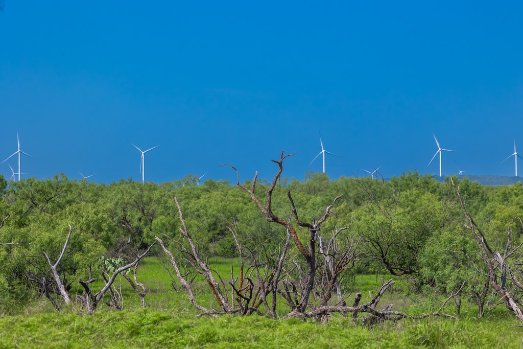 88291 Suaa Rd Well Lohn, TX 76852 - Photo 39 of 48 a view of a field